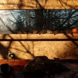 photo 2022-01-24 08-53-55