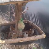 photo 2019-02-10 13-12-16