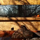 photo 2022-01-24 09-36-23