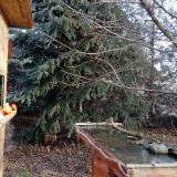 photo 2021-12-15 09-12-05