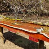 photo 2021-03-31 14-00-20