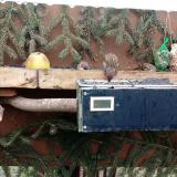 photo 2021-02-10 10-15-43