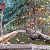 photo 2023-10-14 07-59-29