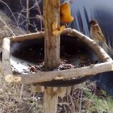 photo 2019-02-08 11-17-17