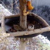 photo 2019-02-05 09-16-03