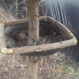 photo 2019-02-24 12-16-10