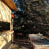 photo 2022-01-12 09-08-35