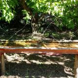 photo 2021-05-10 10-05-51