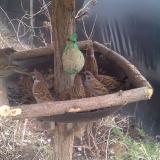 photo 2019-02-10 14-54-07