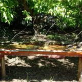 photo 2021-05-10 10-15-46