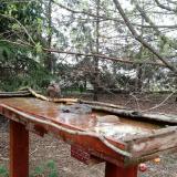 photo 2022-03-31 08-41-34