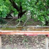 photo 2021-05-20 14-46-07