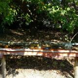 photo 2021-10-02 11-50-08