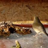 photo 2022-01-21 12-25-38 vorosbegy2