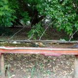 photo 2021-05-31 12-24-39