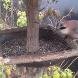 photo 2019-12-12 11-51-44