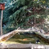 photo 2023-10-12 10-11-02