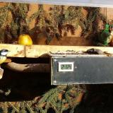 photo 2021-02-04 13-48-19