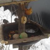 photo 2019-01-28 10-14-25