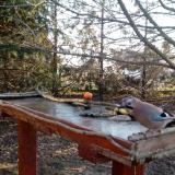 photo 2022-03-13 07-08-26