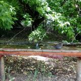 photo 2021-05-31 09-52-18