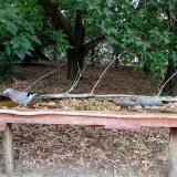 photo 2021-09-20 13-50-07