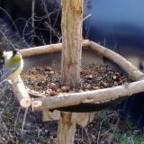 photo 2019-01-03 10-47-12