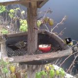 photo 2019-12-06 09-13-16