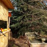 photo 2021-12-22 10-44-44