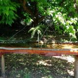 photo 2021-05-21 10-23-04