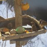 photo 2019-01-27 09-16-59