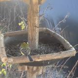 photo 2019-12-27 12-14-57