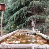 photo 2023-10-19 13-39-25