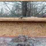 photo 2022-01-17 10-51-22