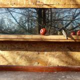 photo 2022-01-15 11-39-00