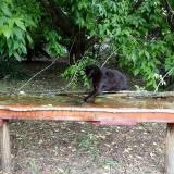 photo 2021-05-24 12-19-27