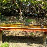 photo 2021-04-21 12-52-18