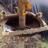 photo 2019-02-08 10-02-23