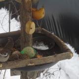 photo 2019-01-27 12-48-58