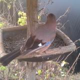 photo 2019-12-19 08-19-42