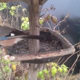 photo 2019-12-12 12-17-04