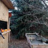 photo 2021-12-22 09-29-53