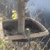 photo 2019-12-22 11-06-07