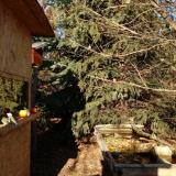 photo 2021-12-17 13-27-12