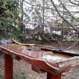 photo 2022-03-31 08-16-25