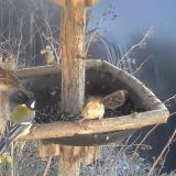 photo 2019-12-31 13-08-39