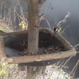 photo 2019-12-29 12-57-49