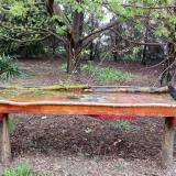 photo 2021-04-13 16-50-36