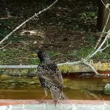 photo 2021-05-12 11-24-18 seregely