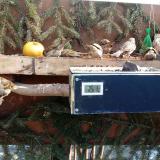 photo 2021-02-15 10-21-31